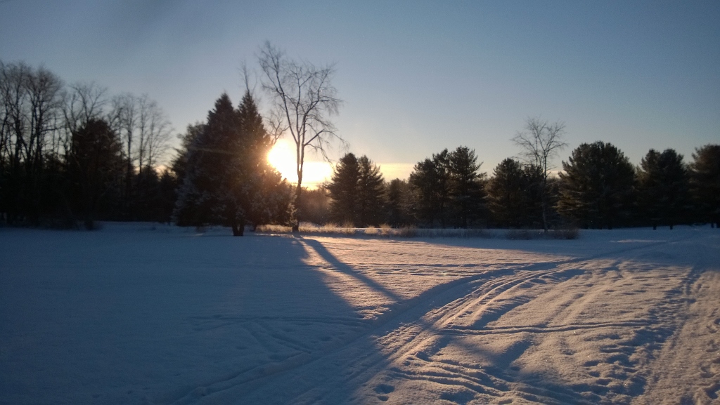 Cross Country Skiing at Brookhaven